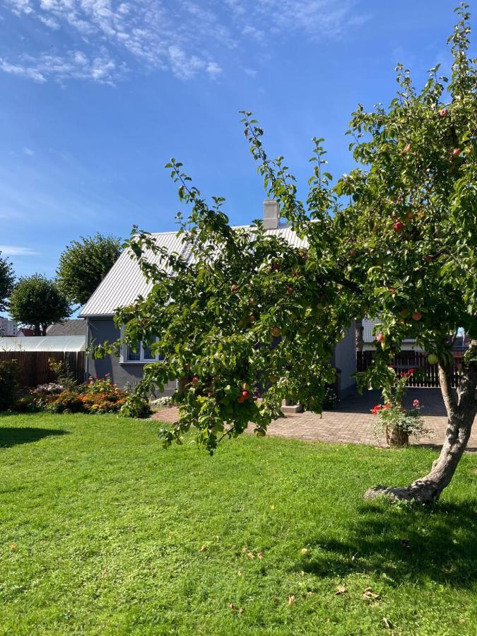 Brivdienu Maja Saulite Ventspils Exteriör bild